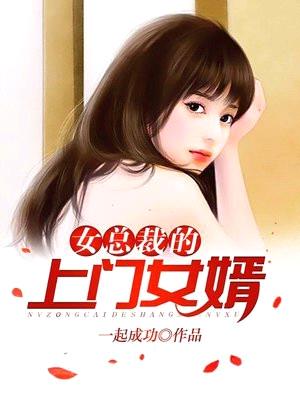 女总裁的上门女婿（又名：叶凡）封面