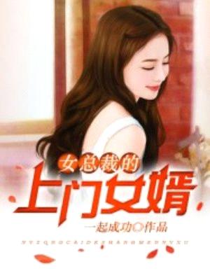 女总裁的上门女婿（又名：王婿、医婿）封面