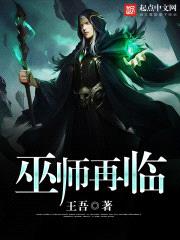 巫师再临封面